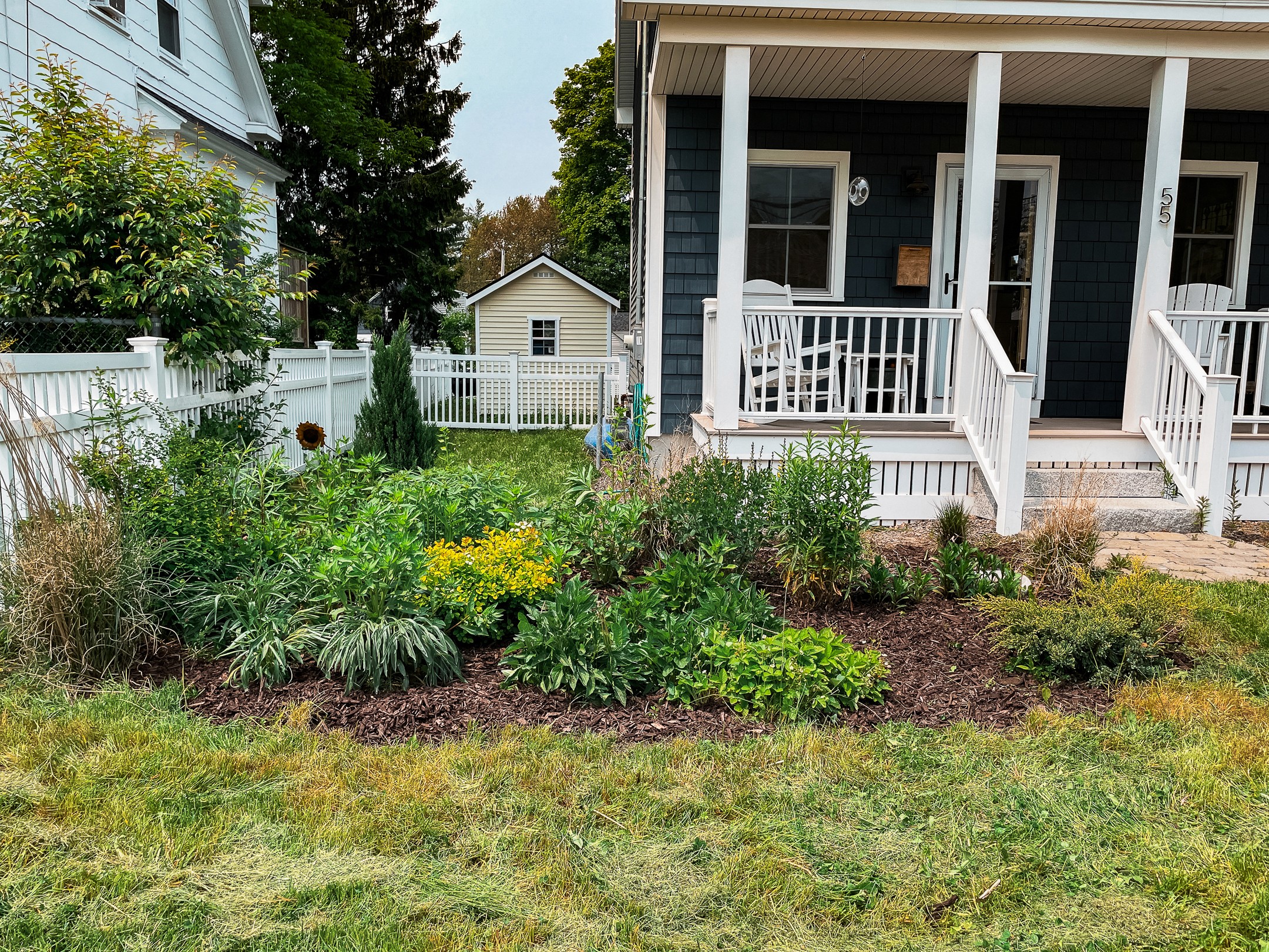 Freshly mowed and edged residential lawn