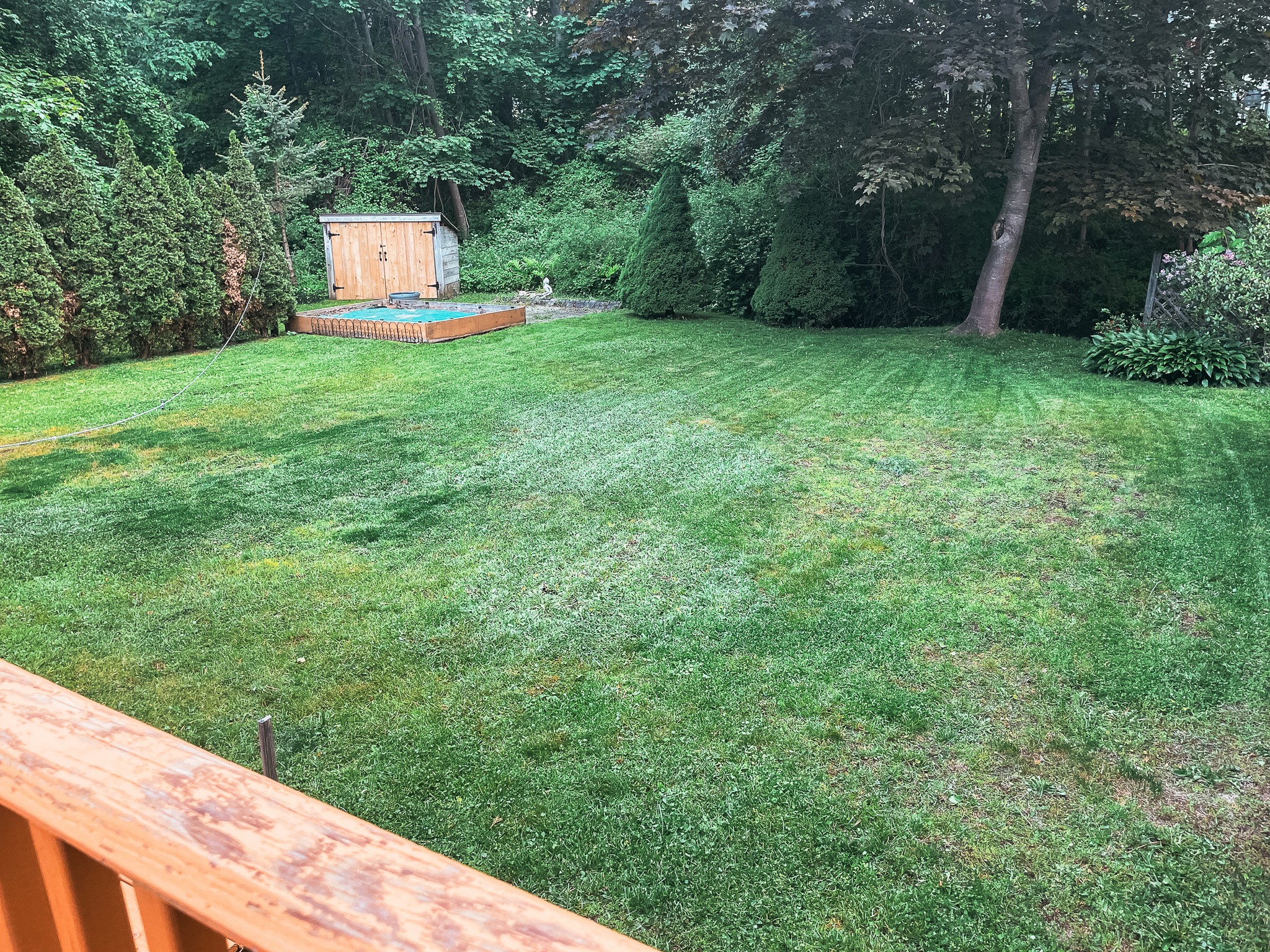 Freshly mowed lawn with clean mow lines